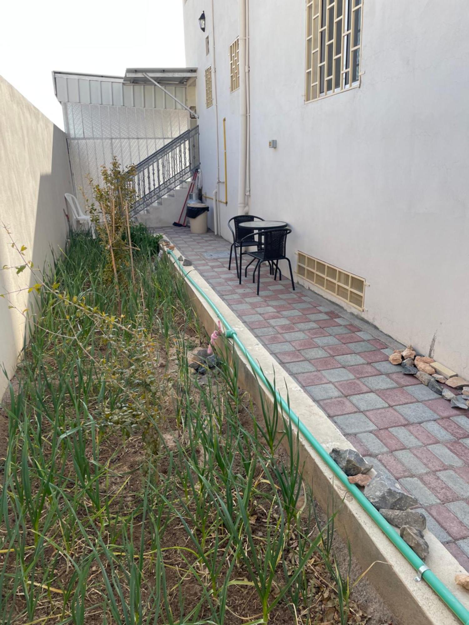 Sayq Apartment In Bayt Al Jabal شقة في بيت الجبل מראה חיצוני תמונה